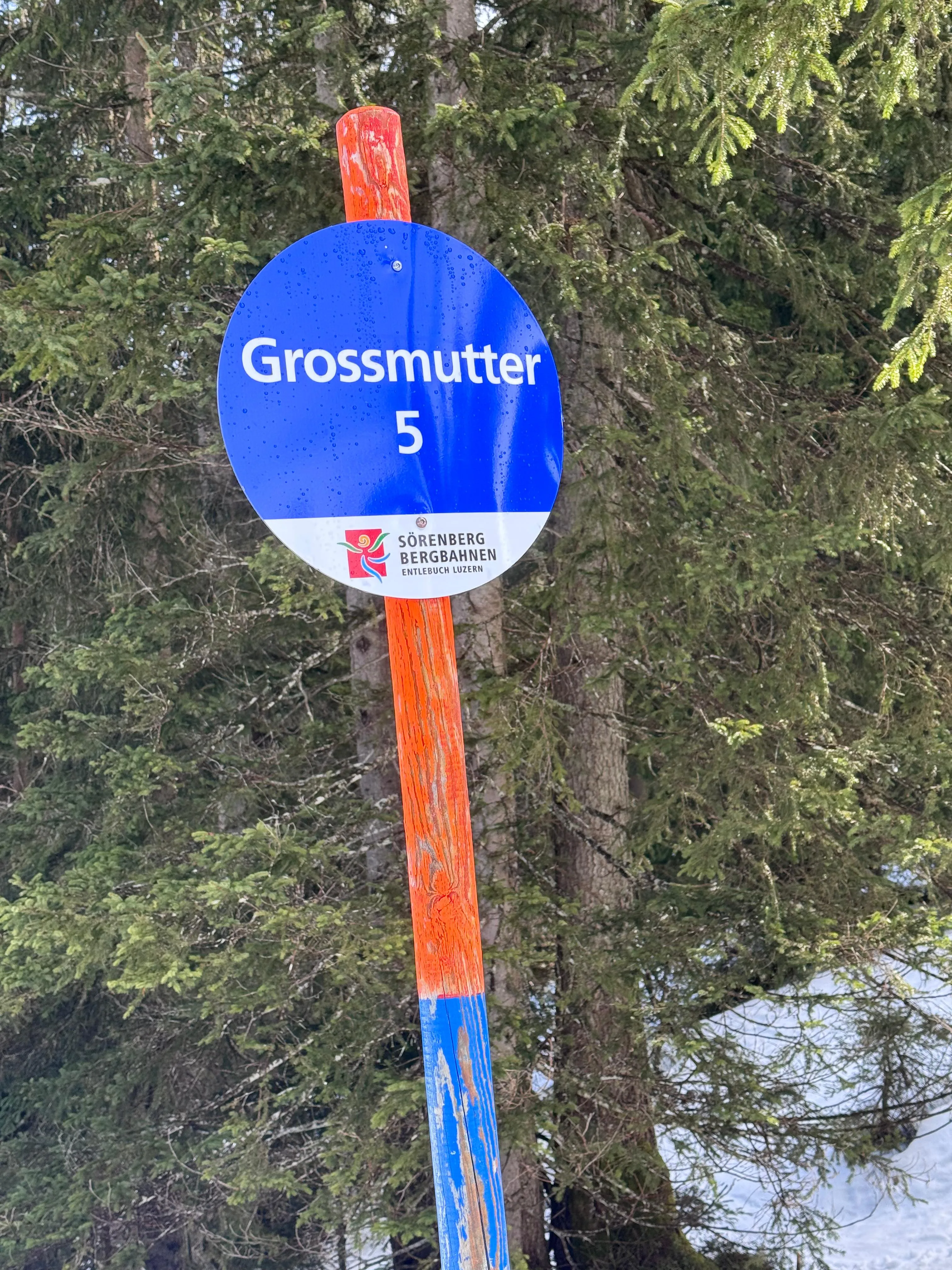 PHOTO-2026-03-02-21-52-01 2