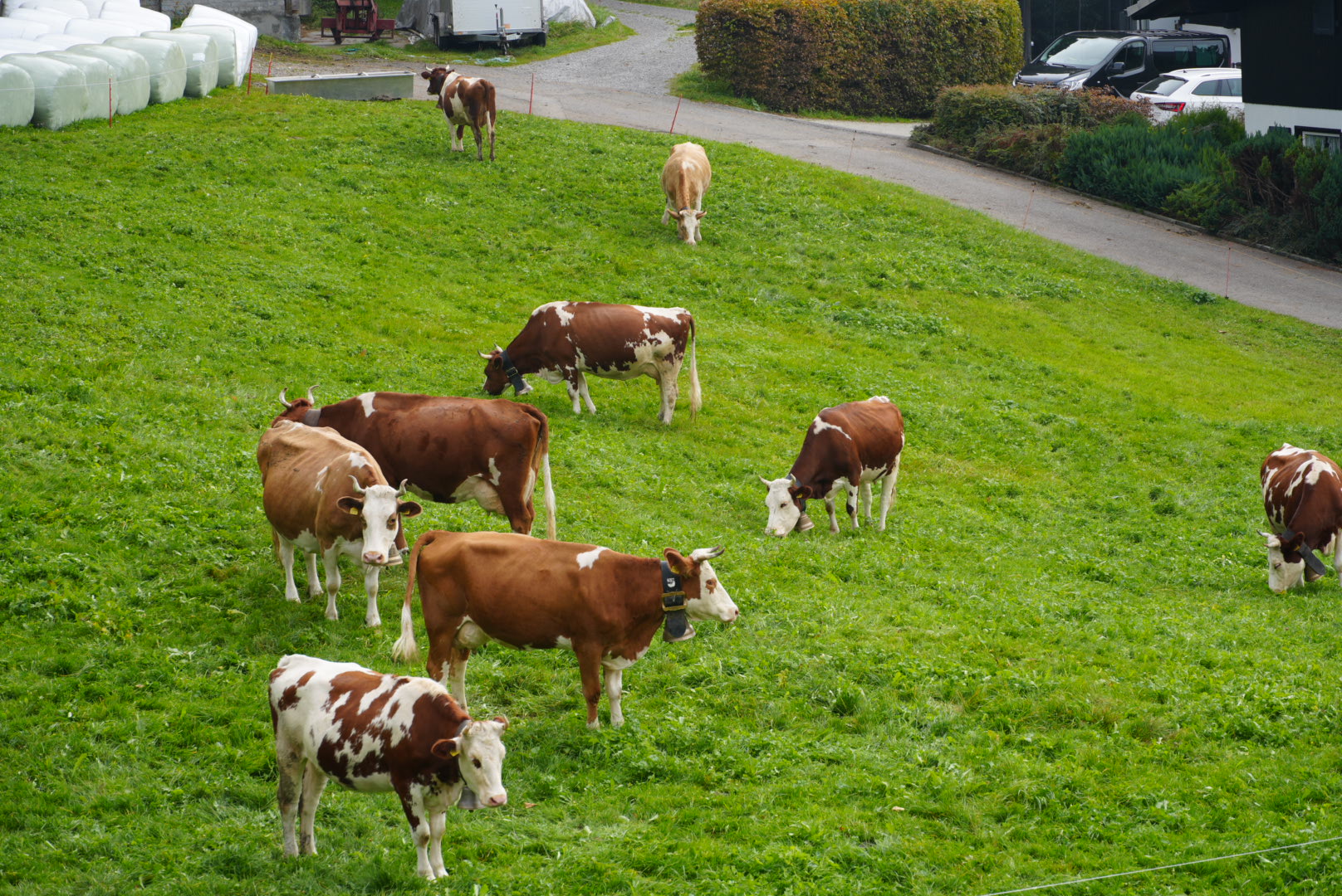 Willkommen in Beatenberg